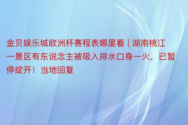 金贝娱乐城欧洲杯赛程表哪里看 | 湖南桃江一景区有东说念主被吸入排水口身一火，已暂停绽开！当地回复