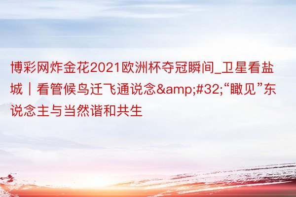 博彩网炸金花2021欧洲杯夺冠瞬间_卫星看盐城｜看管候鸟迁飞通说念&#32;“瞰见”东说念主与当然谐和共生